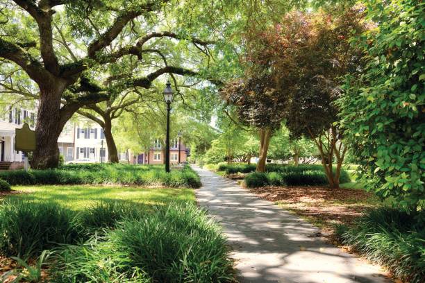 istock Footpath in Historic District, Savannah, Georgia. 973366898