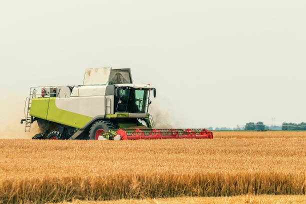 istock Combine harvester working on a wheat field. Harvesting wheat. 973370200