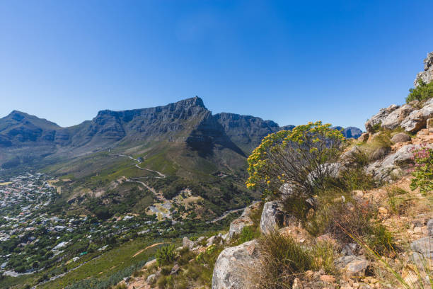 istock View of Table Mountain in Cape Town 973370212