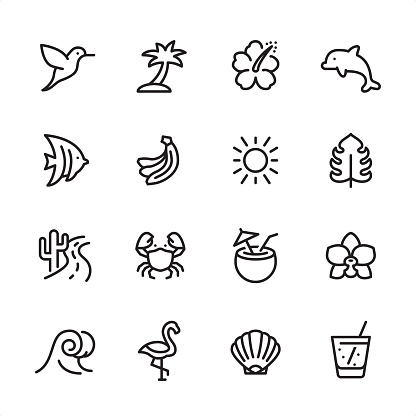 16 line black on white icons / Tropical Summer / Set #52
Pixel Perfect Principle - all the icons are designed in 48x48pх square, outline stroke 2px.

First row of outline icons contains: 
Hummingbird, Palm Tree, Hibiscus, Dolphin;

Second row contains: 
Butterflyfish, Banana icon, Sun, Monstera Leaf;

Third row contains: 
Cactus and Southwest Road, Crab icon, Coconut Cocktail, Orchid; 

Fourth row contains: 
Wave icon, Flamingo, Animal Shell, Lemonade icon.

Complete Inlinico collection - https://www.istockphoto.com/collaboration/boards/2MS6Qck-_UuiVTh288h3fQ