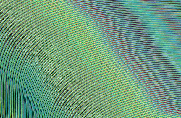 istock Covers design,colorful gradients,future geometric patterns,modern abstract covers set,shapes and composition 973377696