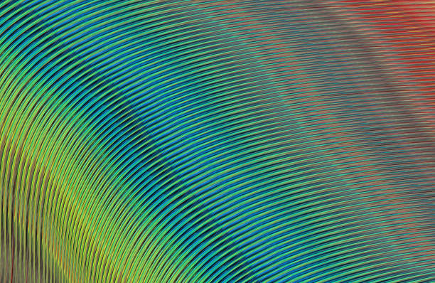 istock Covers design,colorful gradients,future geometric patterns,modern abstract covers set,shapes and composition 973378318