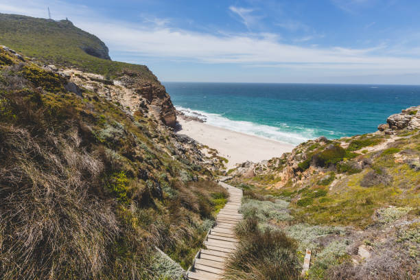 istock Walkway down to Diaz Beach with a perfect blue sky 973378576