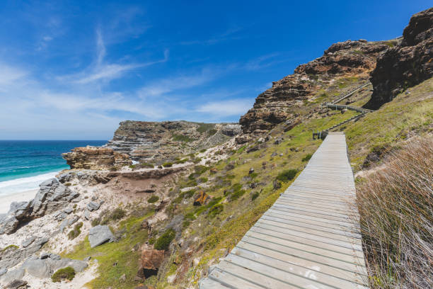 istock Walkway down to Diaz Beach with a perfect blue sky 973378812