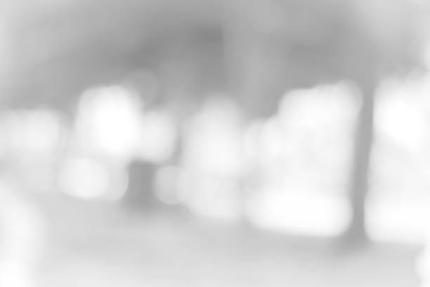 istock white blurred backdrop of nature, circle white wallpaper, gray bokeh background 973382592