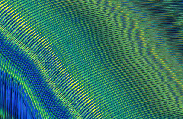 istock Covers design,colorful gradients,future geometric patterns,modern abstract covers set,shapes and composition 973401288