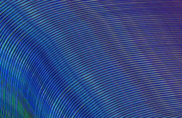 istock Covers design,colorful gradients,future geometric patterns,modern abstract covers set,shapes and composition 973401330