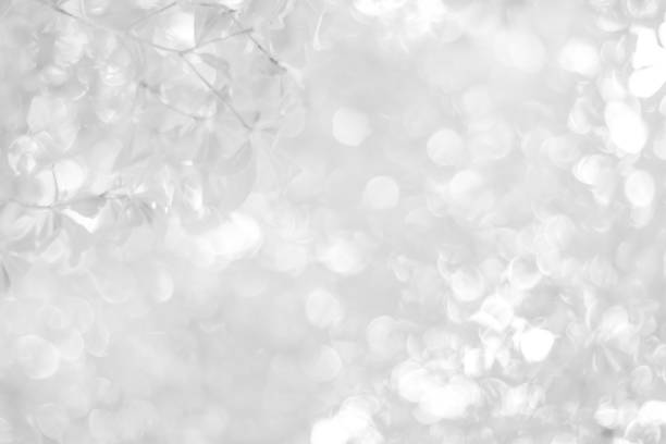 istock white blurred backdrop of nature, circle white wallpaper, gray bokeh background 973408258