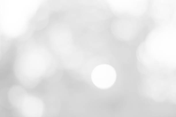 istock white blurred backdrop of nature, circle white wallpaper, gray bokeh background 973410992