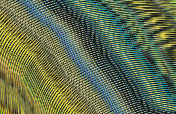 istock Covers design,colorful gradients,future geometric patterns,modern abstract covers set,shapes and composition 973412332