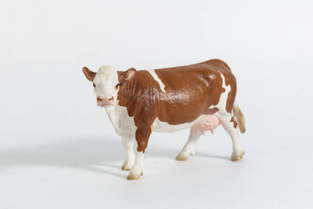 luxury baby rubber cow toy for animal collection on white background.