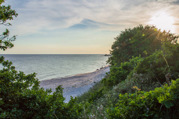 istock Idyllic view close to beach at the Baltic Sea 973419664