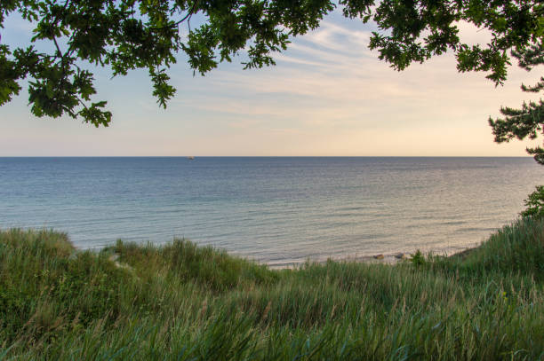 istock Idyllic view close to beach at the Baltic Sea 973422376