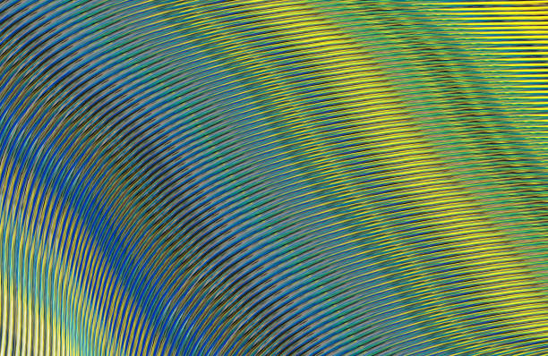 istock Covers design,colorful gradients,future geometric patterns,modern abstract covers set,shapes and composition 973422746