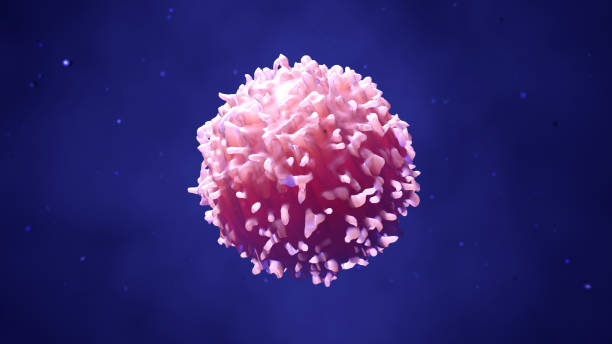 istock Lymphocytes, t cells or cancer cells 973422924