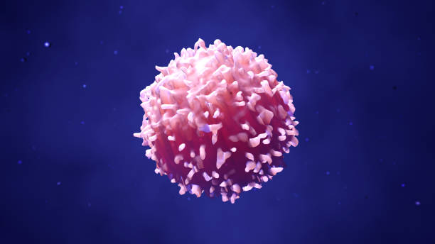 Lymphocytes, t cells or cancer cells 3d illustration lymphocytes, t cells or cancer cells white blood cell stock pictures, royalty-free photos & images