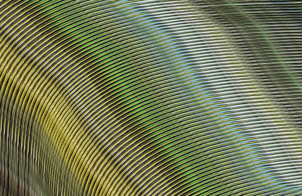 istock Covers design,colorful gradients,future geometric patterns,modern abstract covers set,shapes and composition 973423104