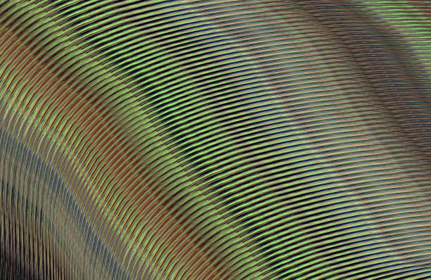 istock Covers design,colorful gradients,future geometric patterns,modern abstract covers set,shapes and composition 973427042