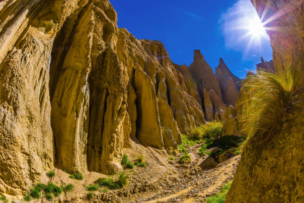 The pinnacles separated by narrow ravines Travel to New Zealand. Magnificent summer sunset. The Clay Cliffs are tall pinnacles separated by narrow ravines. The concept of active, eco and photo tourism omarama stock pictures, royalty-free photos & images