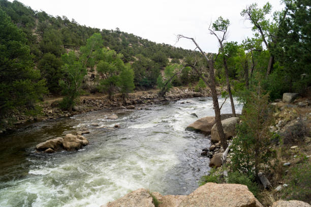 istock Arkansas River white-water rapids 973431592