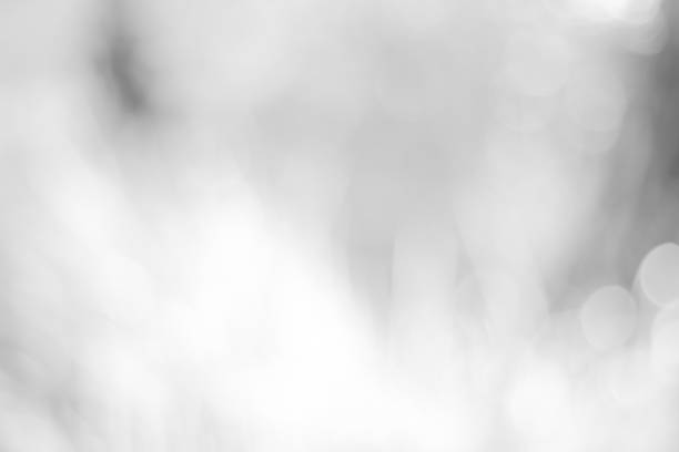 istock white blurred backdrop of nature, circle white wallpaper, gray bokeh background 973438126