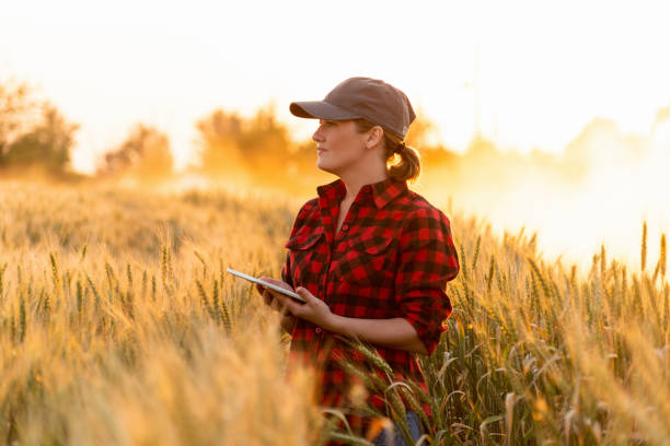 istock Smart farming and digital agriculture. 973438322