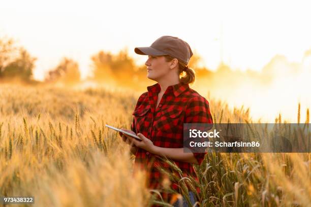Smart Farming And Digital Agriculture Stock Photo - Download Image Now - Farmer, Agriculture, One Woman Only