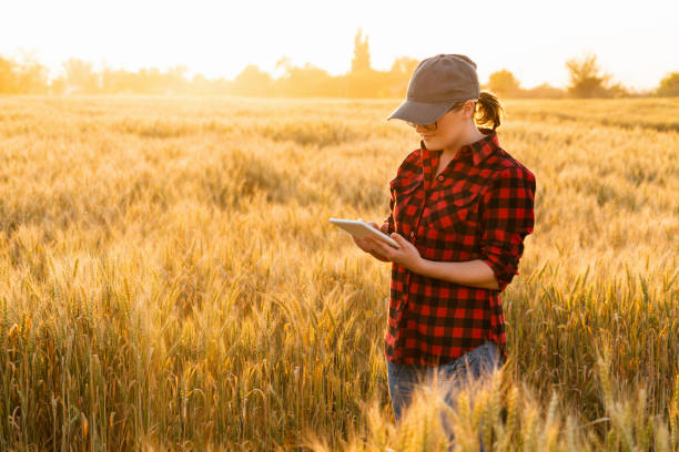 istock Smart farming and digital agriculture. 973441718