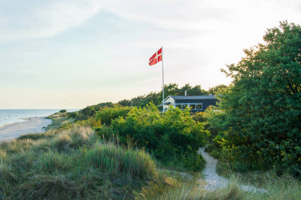 靠近波羅的海海灘的田園風光 - 丹麥 個照片及圖片檔