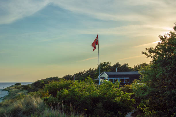 istock Idyllic view close to beach at the Baltic Sea 973442292