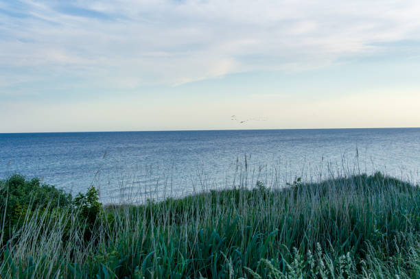 istock Idyllic view close to beach at the Baltic Sea 973442360