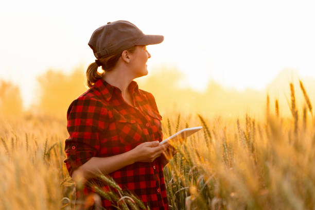 istock Smart farming and digital agriculture. 973442508