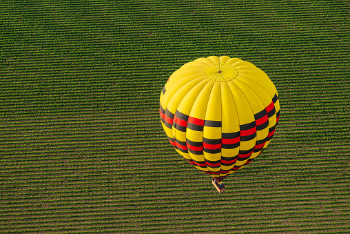 Aerial view of Napa Valley, California from a hot air balloon.