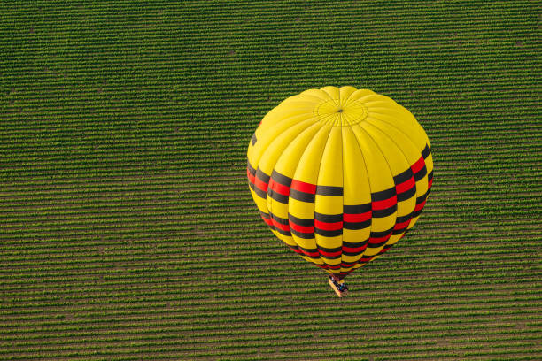 hot air balloon drifts over napa valley vineyards - hot air balloon california napa napa valley imagens e fotografias de stock