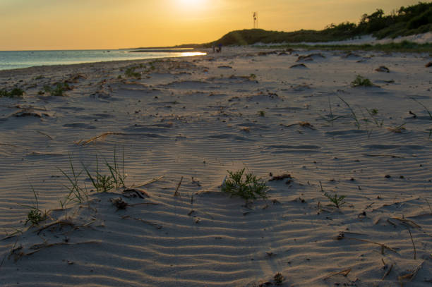 istock Bornholm beach, Denmark, on a evening in summer 973449970