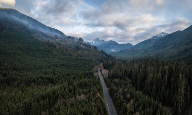 Aerial View of Highway