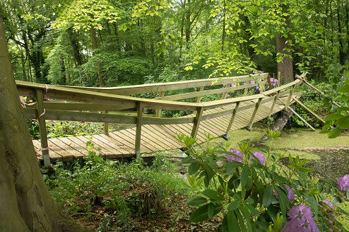 Suspension bridge in the park.