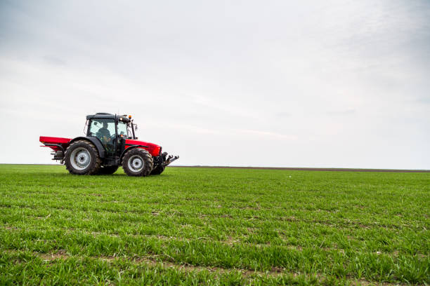 istock Farmer in tractor fertilizing wheat field at spring with npk 973460510