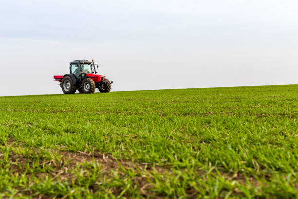 istock Farmer in tractor fertilizing wheat field at spring with npk 973461172