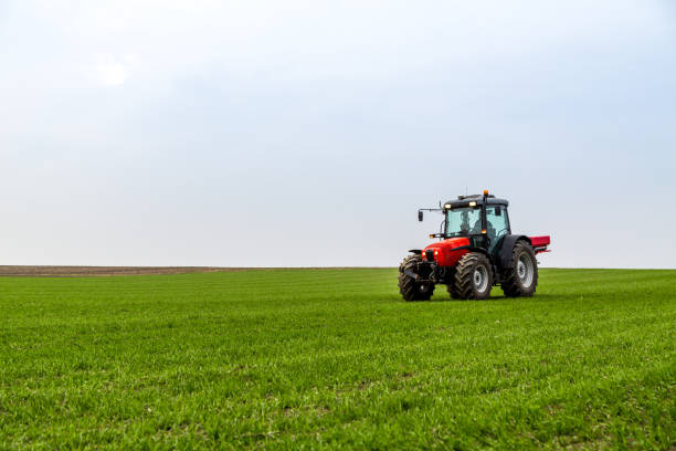 istock Farmer in tractor fertilizing wheat field at spring with npk 973461850