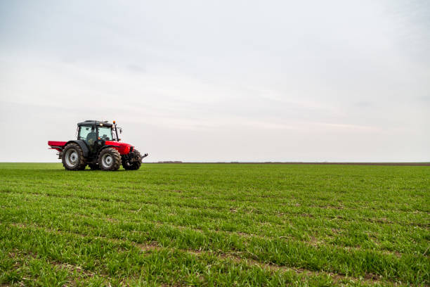 istock Farmer in tractor fertilizing wheat field at spring with npk 973464738