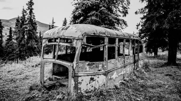 autobus abandonnés dans la forêt distante d’alaska - damaged car photos et images de collection