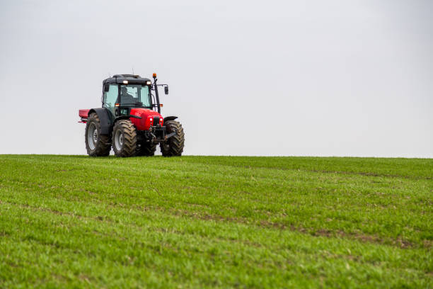 istock Farmer in tractor fertilizing wheat field at spring with npk 973465482