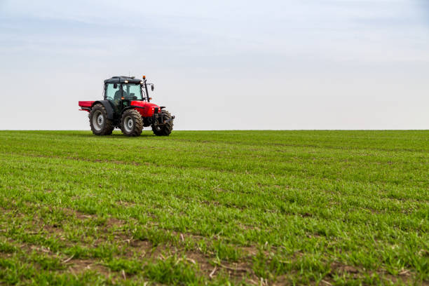 istock Farmer in tractor fertilizing wheat field at spring with npk 973465614