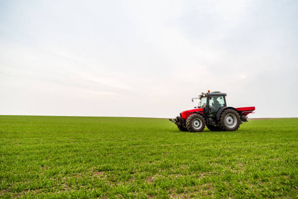 istock Farmer in tractor fertilizing wheat field at spring with npk 973470816