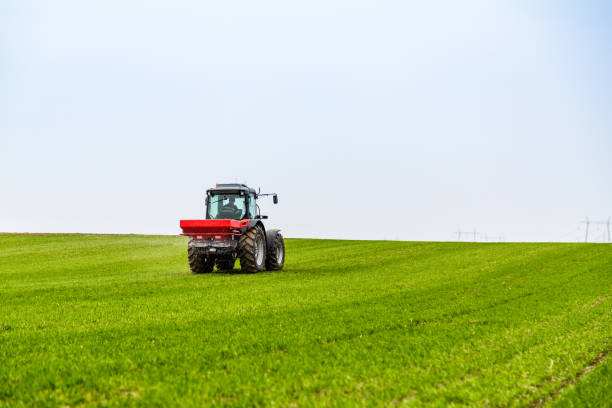 istock Farmer in tractor fertilizing wheat field at spring with npk 973474558