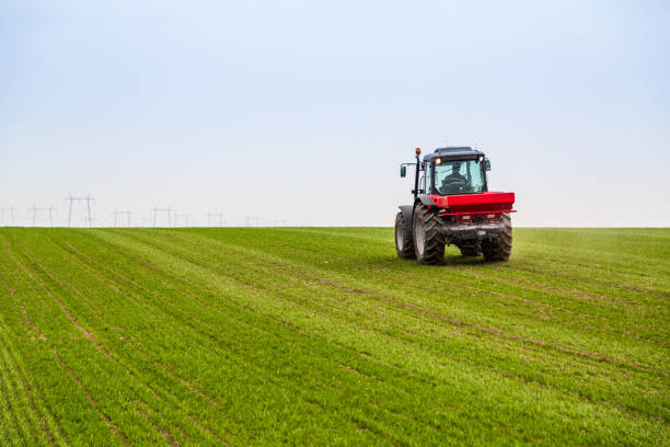 istock Farmer in tractor fertilizing wheat field at spring with npk 973475038