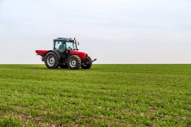 istock Farmer in tractor fertilizing wheat field at spring with npk 973477772