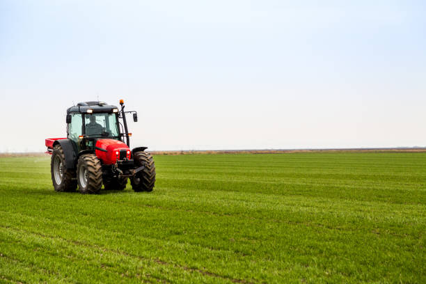 istock Farmer in tractor fertilizing wheat field at spring with npk 973477970
