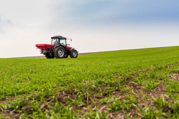 istock Farmer in tractor fertilizing wheat field at spring with npk 973478106